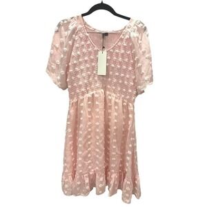 NWT pink Swiss dot dress knee length dress size M